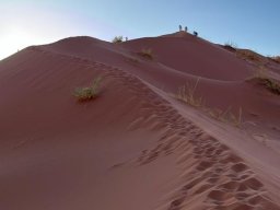 Sossusvlei